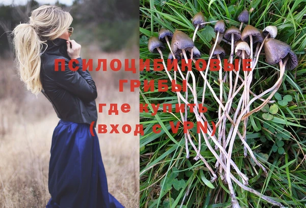 гидропоника Новодвинск